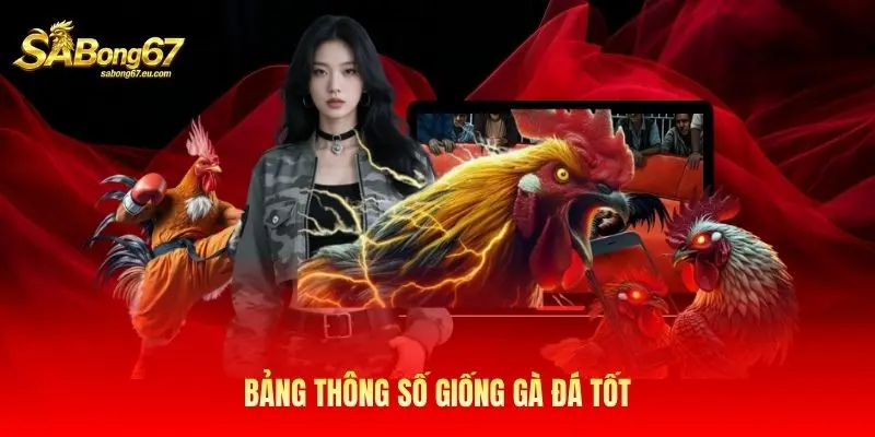 Bảng thông số giống gà đá tốt