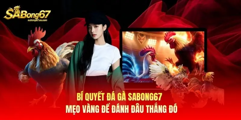 Bí Quyết Đá Gà Sabong67 - Mẹo Vàng Để “Đánh Đâu Thắng Đó”