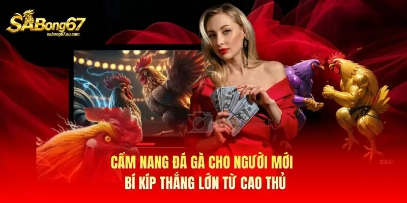 Cẩm Nang Đá Gà Cho Người Mới - Bí Kíp Thắng Lớn Từ Cao Thủ
