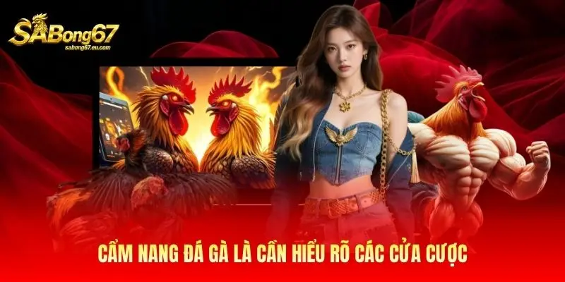 Cẩm nang đá gà là cần hiểu rõ các cửa cược Cẩm nang đá gà là cần hiểu rõ các cửa cược