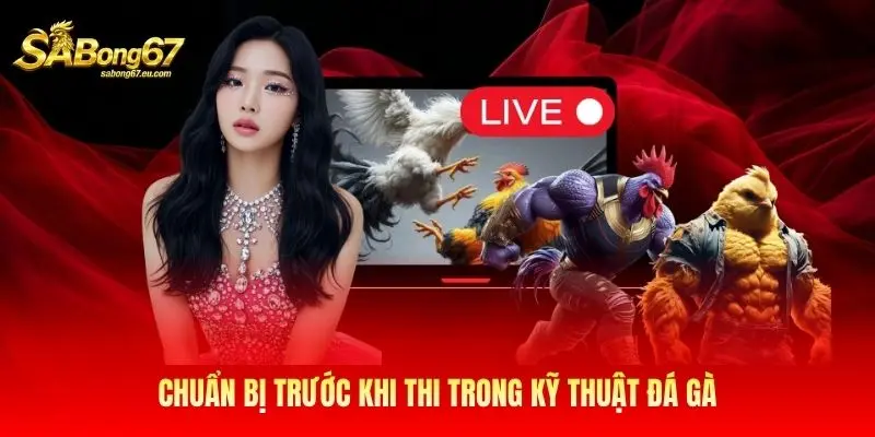 Chuẩn bị trước khi thi trong kỹ thuật đá gà