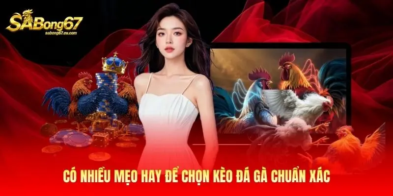 Có nhiều mẹo hay để chọn kèo đá gà chuẩn xác Có nhiều mẹo hay để chọn kèo đá gà chuẩn xác