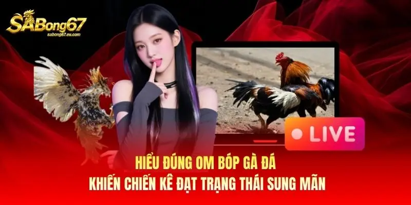 Hiểu đúng om bóp gà đá khiến chiến kê đạt trạng thái sung mãn