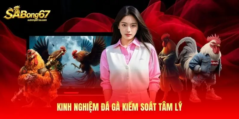 Kinh nghiệm đá gà kiểm soát tâm lý