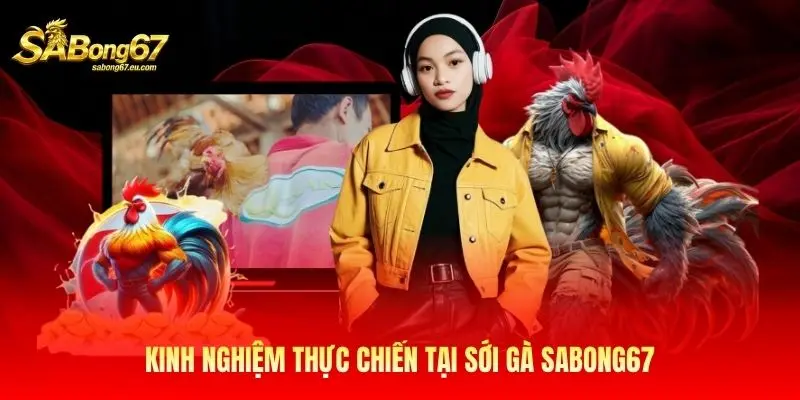 Kinh nghiệm thực chiến tại sới gà Sabong67