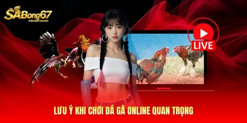 Lưu ý khi chơi đá gà online quan trọng