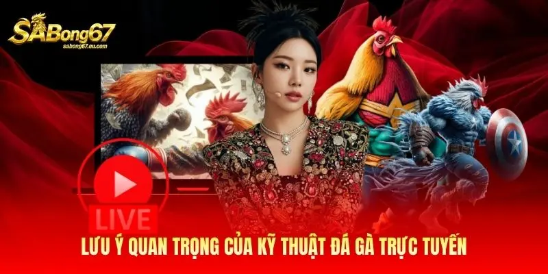 Lưu ý quan trọng của kỹ thuật đá gà trực tuyến