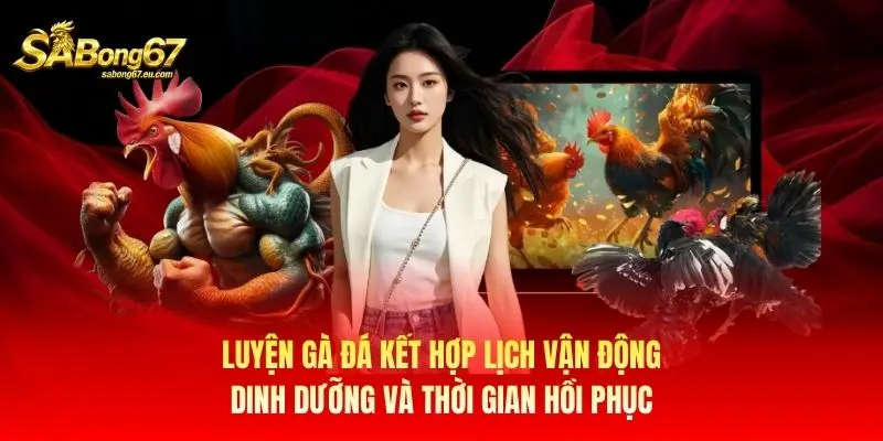 Luyện gà đá kết hợp lịch vận động, dinh dưỡng và thời gian hồi phục