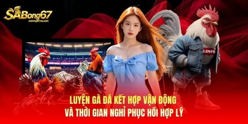 Luyện gà đá kết hợp vận động và thời gian nghỉ phục hồi hợp lý
