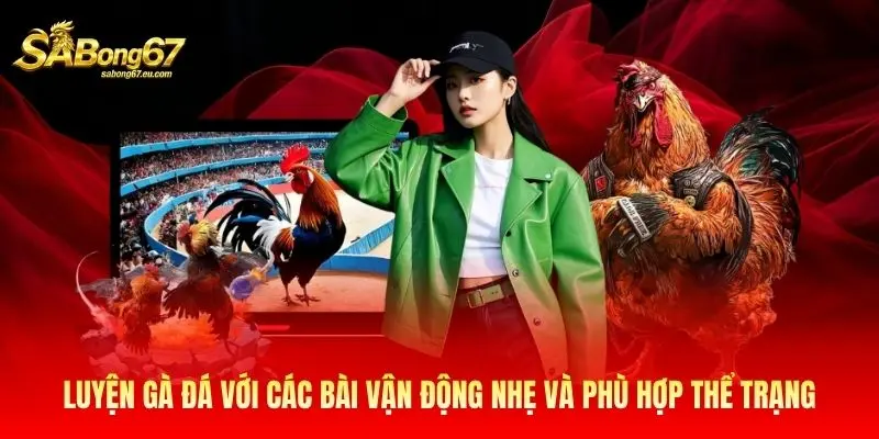 Luyện gà đá với các bài vận động nhẹ và phù hợp thể trạng