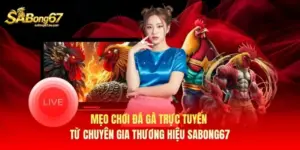 Mẹo Chơi Đá Gà Trực Tuyến Từ Chuyên Gia Thương Hiệu Sabong67