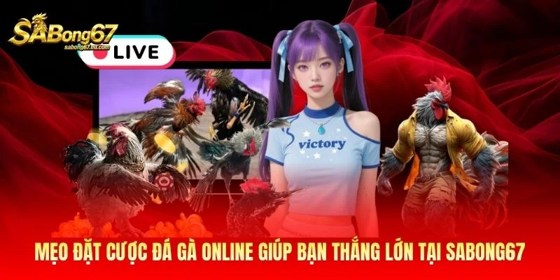 Mẹo Đặt Cược Đá Gà Online Giúp Bạn Thắng Lớn Tại Sabong67