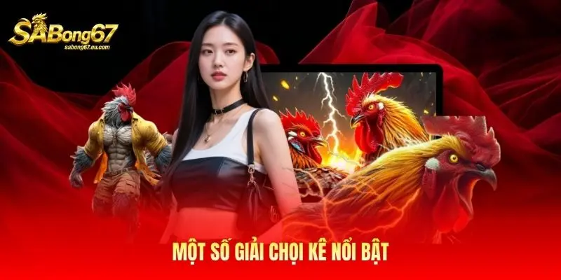 Một số giải chọi kê nổi bật
