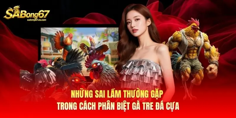 Những sai lầm thường gặp trong cách phân biệt gà tre đá cựa