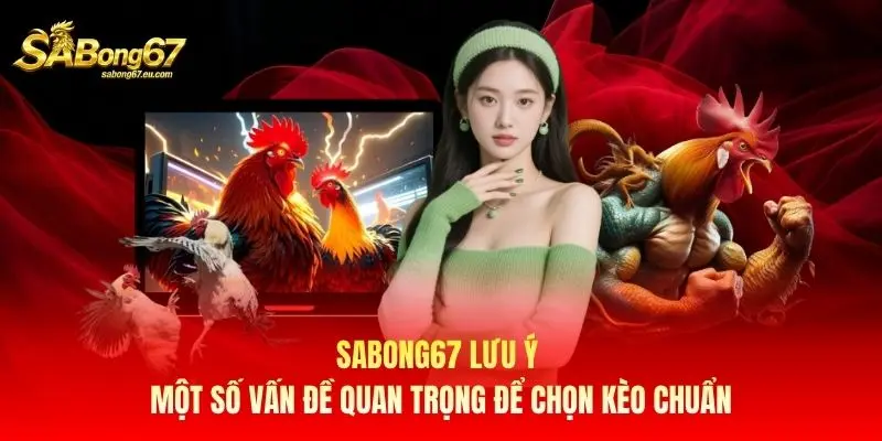 Sabong67 lưu ý một số vấn đề quan trọng để chọn kèo chuẩn Sabong67 lưu ý một số vấn đề quan trọng để chọn kèo chuẩn