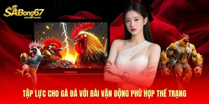 Tập lực cho gà đá với bài vận động phù hợp thể trạng