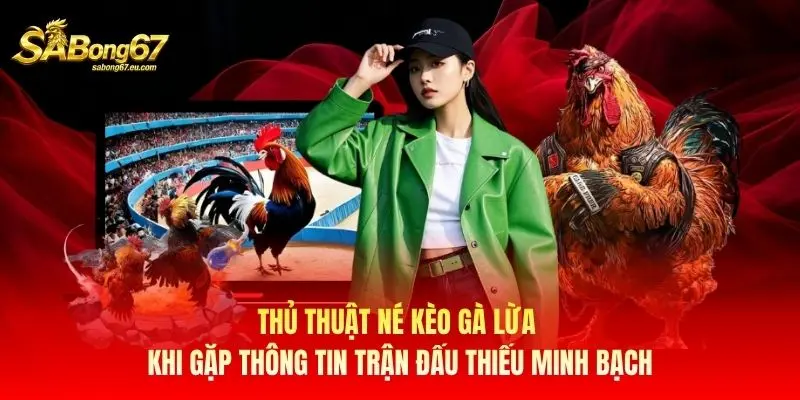 Thủ thuật né kèo gà lừa khi gặp thông tin trận đấu thiếu minh bạch