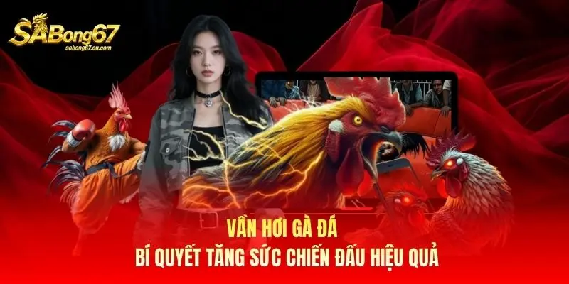 Vần Hơi Gà Đá - Bí Quyết Tăng Sức Chiến Đấu Hiệu Quả