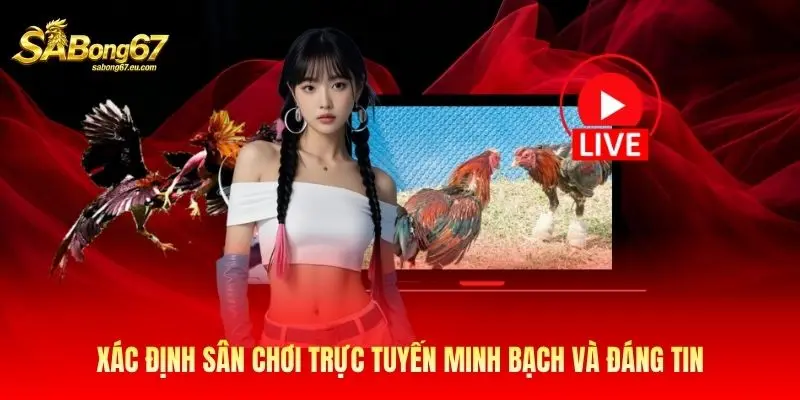 Xác định sân chơi trực tuyến minh bạch và đáng tin