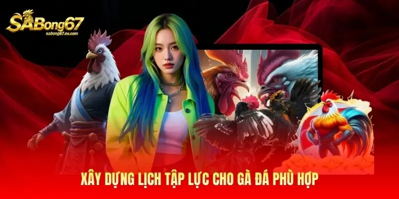 Xây dựng lịch tập lực cho gà đá phù hợp