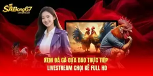Xem Đá Gà Cựa Dao Trực Tiếp - Livestream Chọi Kê Full HD
