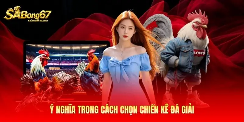 Ý nghĩa trong cách chọn chiến kê đá giải